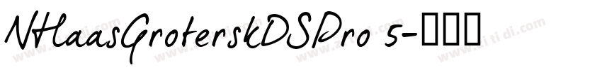 NHaasGroterskDSPro 5字体转换